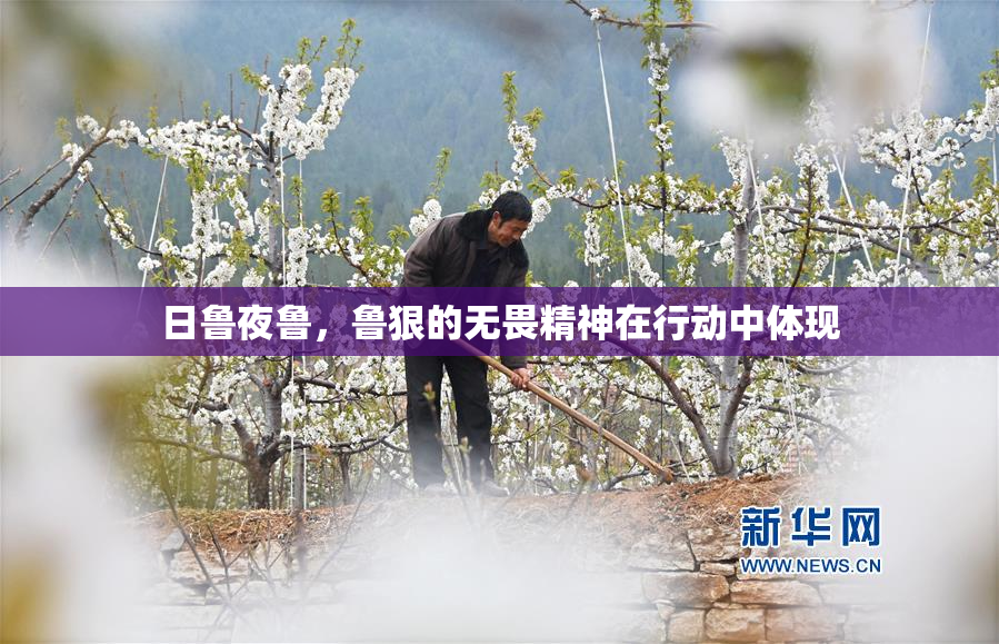 日鲁夜鲁，鲁狠的无畏精神在行动中体现