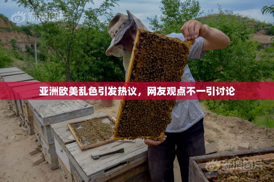 亚洲欧美乱色引发热议，网友观点不一引讨论