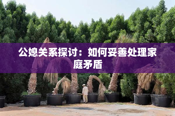 公媳关系探讨：如何妥善处理家庭矛盾