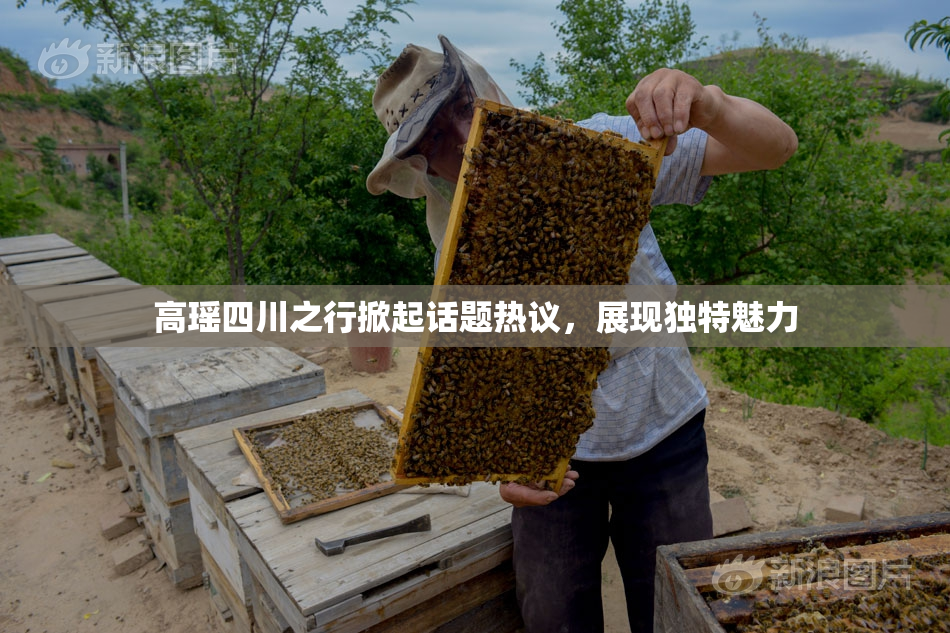 高瑶四川之行掀起话题热议，展现独特魅力