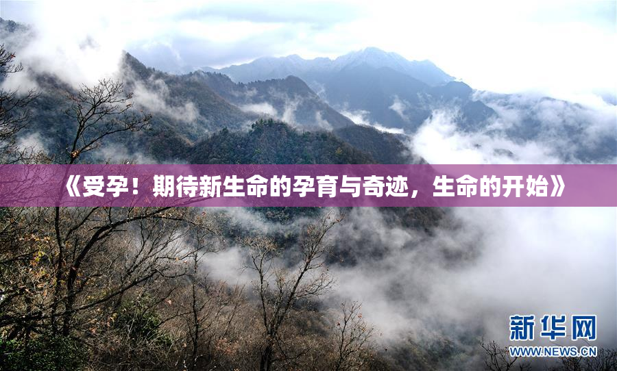 《受孕！期待新生命的孕育与奇迹，生命的开始》