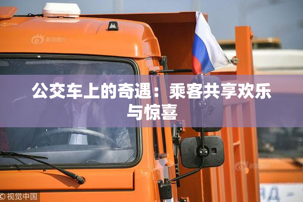 公交车上的奇遇：乘客共享欢乐与惊喜