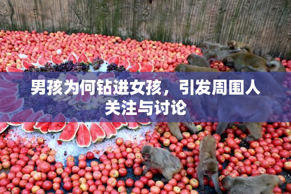 男孩为何钻进女孩，引发周围人关注与讨论