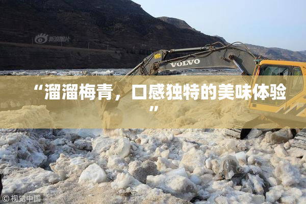 “溜溜梅青，口感独特的美味体验”