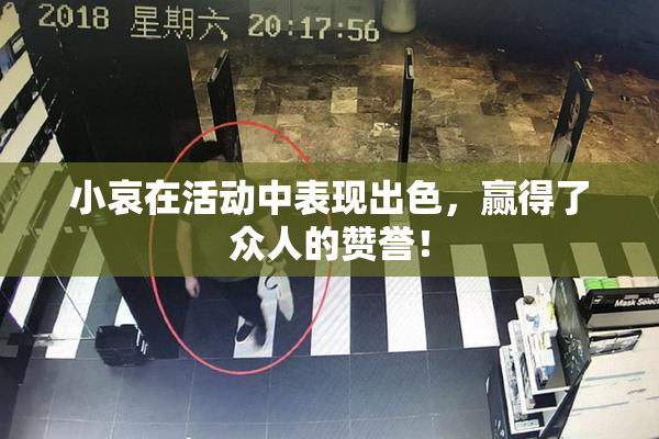 小哀在活动中表现出色，赢得了众人的赞誉！