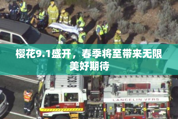 樱花9.1盛开，春季将至带来无限美好期待