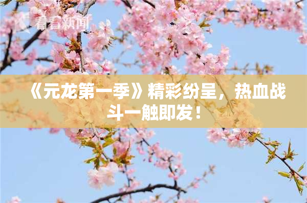 《元龙第一季》精彩纷呈，热血战斗一触即发！