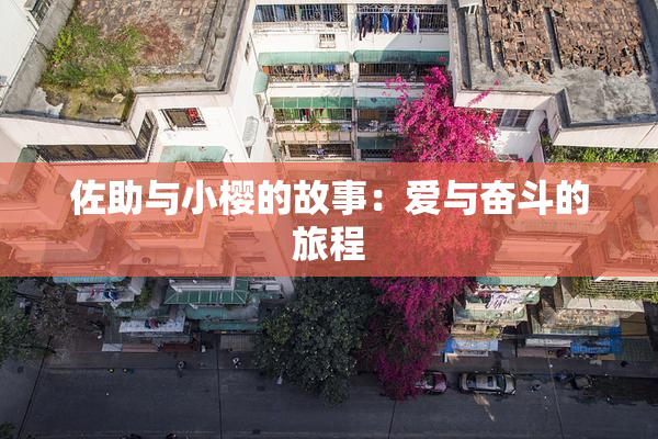佐助与小樱的故事：爱与奋斗的旅程