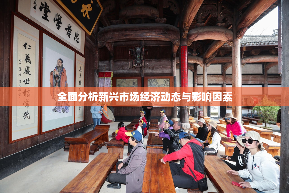 全面分析新兴市场经济动态与影响因素