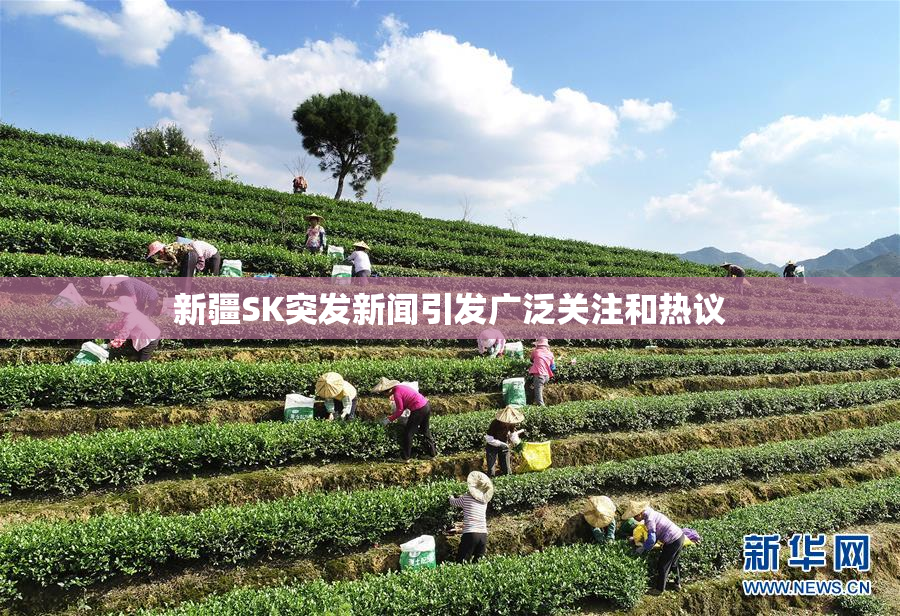 新疆SK突发新闻引发广泛关注和热议
