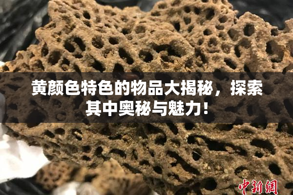 黄颜色特色的物品大揭秘，探索其中奥秘与魅力！