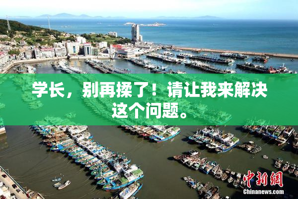 学长，别再揉了！请让我来解决这个问题。