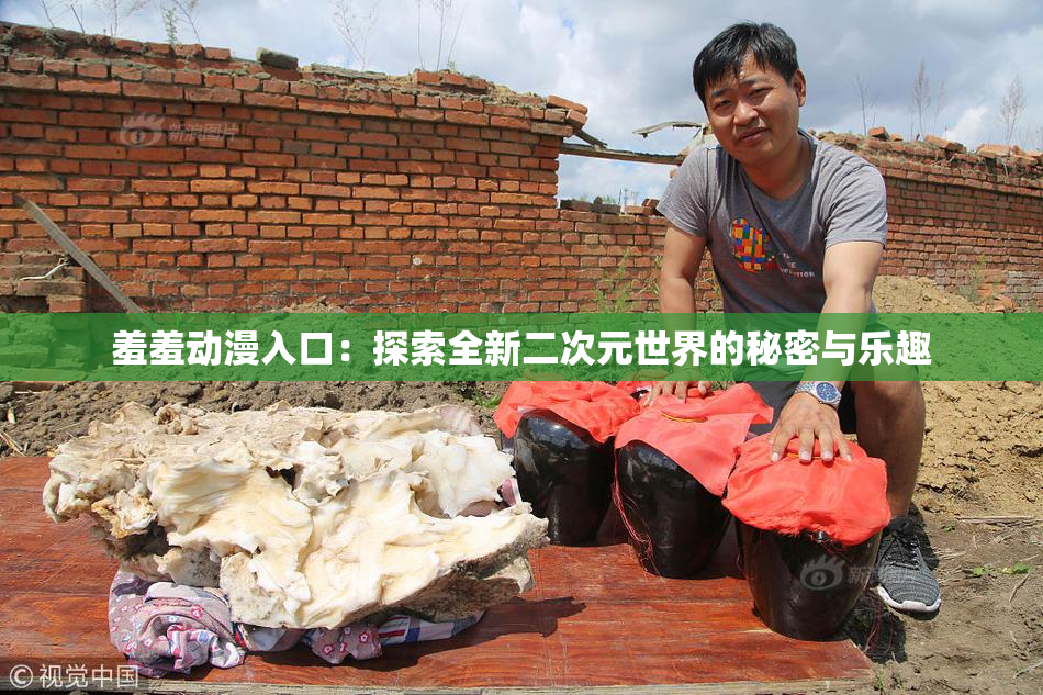 羞羞动漫入口：探索全新二次元世界的秘密与乐趣