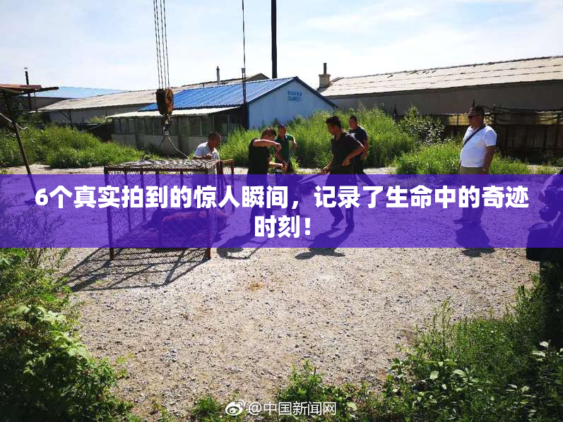 6个真实拍到的惊人瞬间，记录了生命中的奇迹时刻！