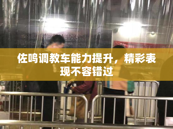 佐鸣调教车能力提升，精彩表现不容错过