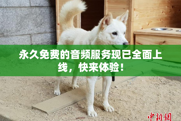 永久免费的音频服务现已全面上线，快来体验！