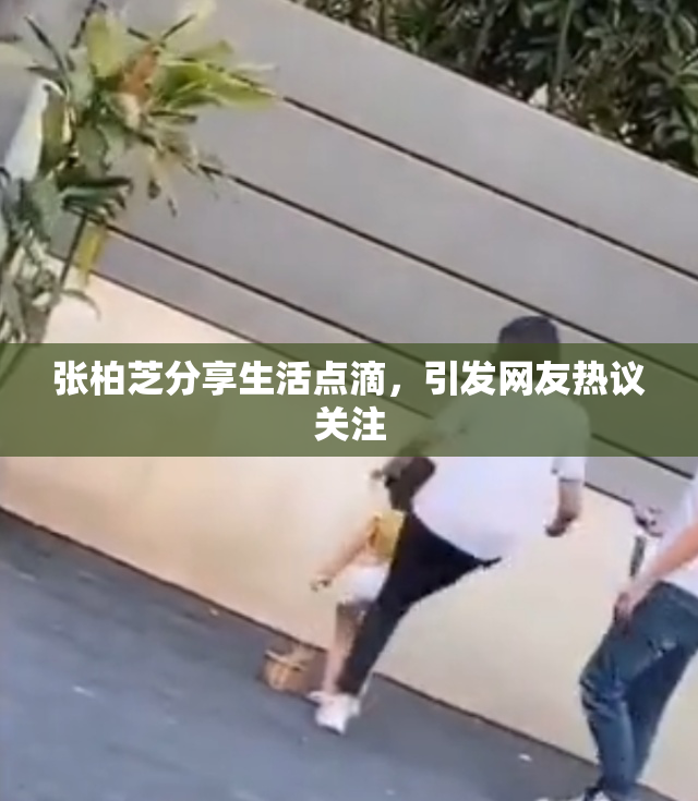 张柏芝分享生活点滴，引发网友热议关注