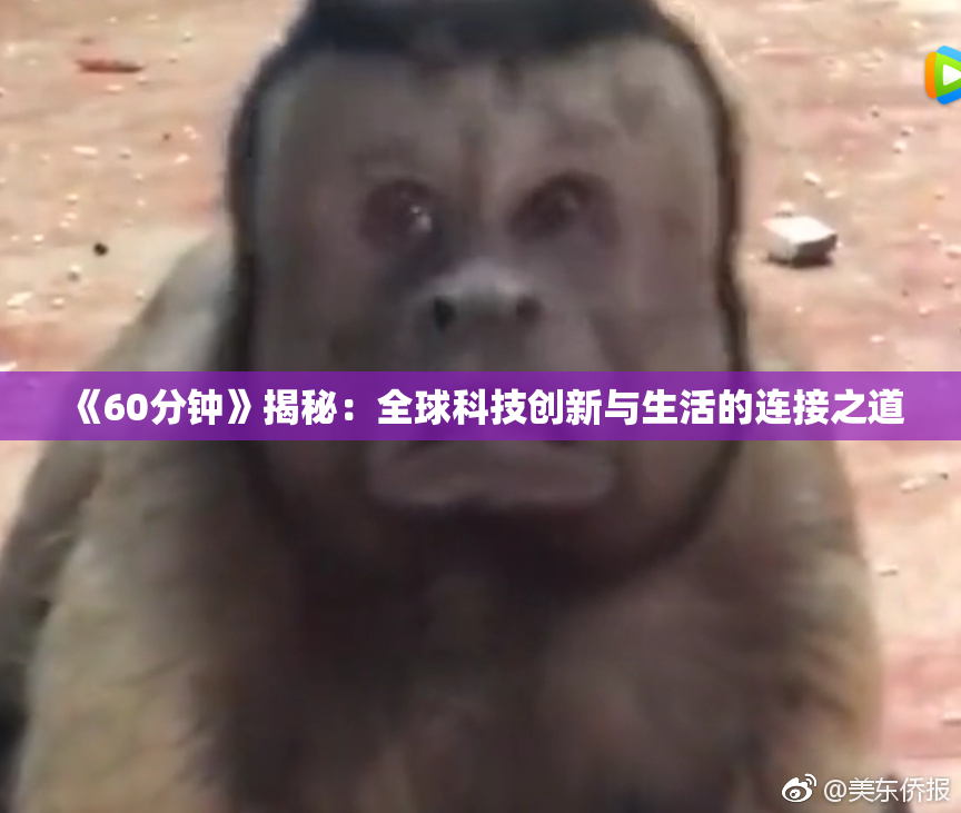 《60分钟》揭秘：全球科技创新与生活的连接之道
