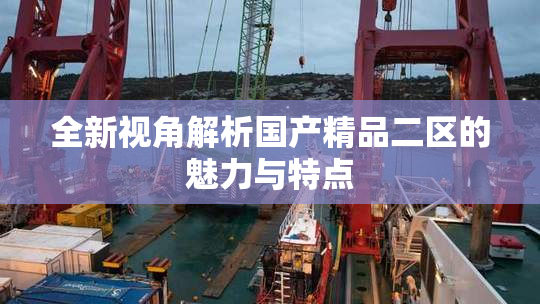 全新视角解析国产精品二区的魅力与特点