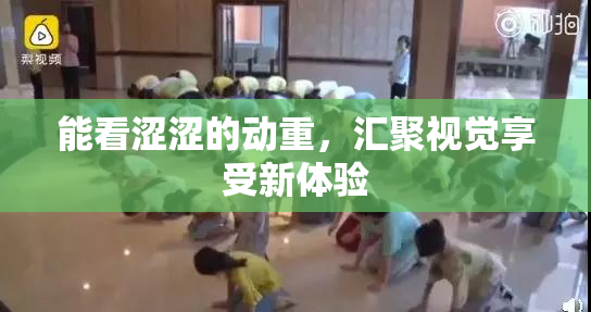 能看涩涩的动重，汇聚视觉享受新体验