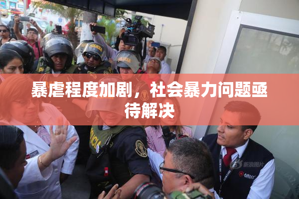 暴虐程度加剧，社会暴力问题亟待解决
