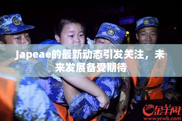 Japeae的最新动态引发关注，未来发展备受期待