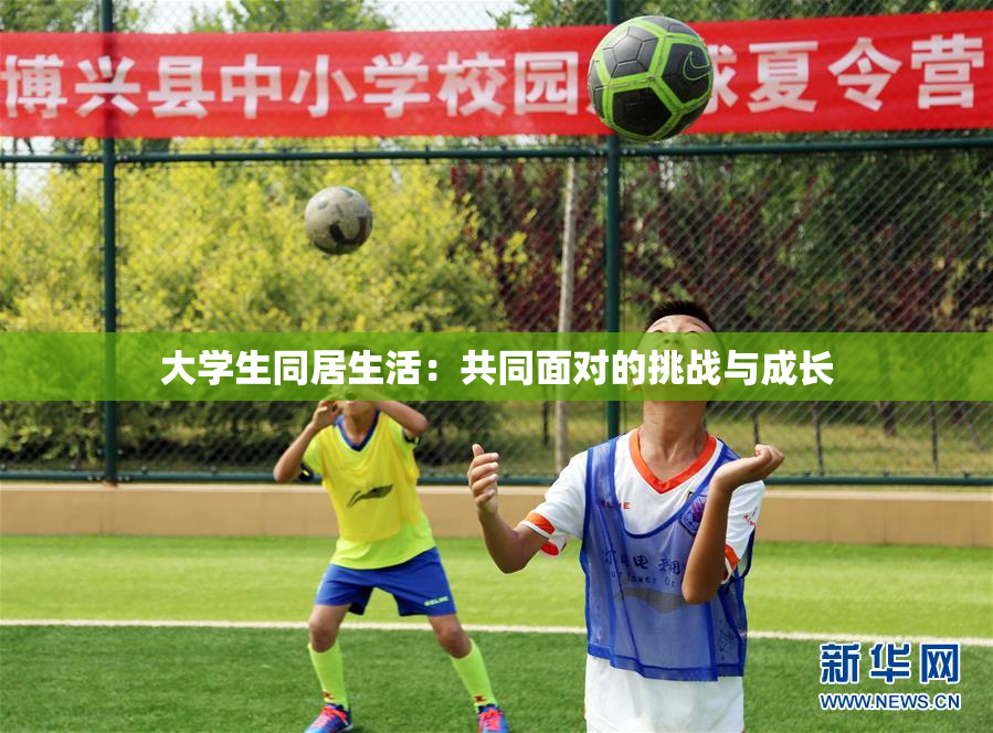 大学生同居生活：共同面对的挑战与成长