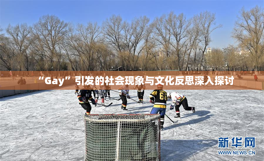 “Gay”引发的社会现象与文化反思深入探讨