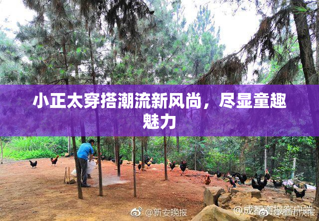 小正太穿搭潮流新风尚，尽显童趣魅力