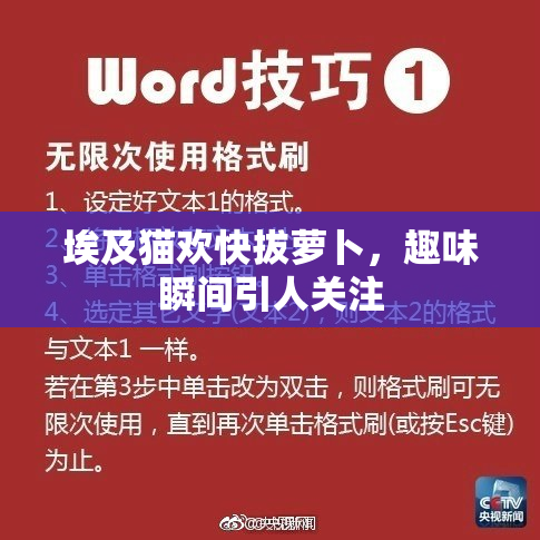 埃及猫欢快拔萝卜，趣味瞬间引人关注