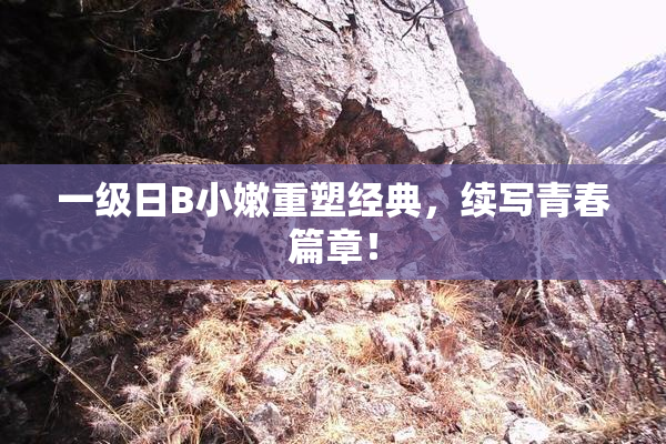 一级日B小嫩重塑经典，续写青春篇章！