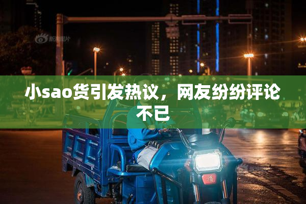 小sao货引发热议，网友纷纷评论不已