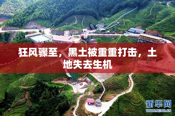 狂风骤至，黑土被重重打击，土地失去生机