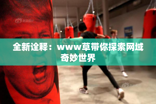 全新诠释：www草带你探索网域奇妙世界