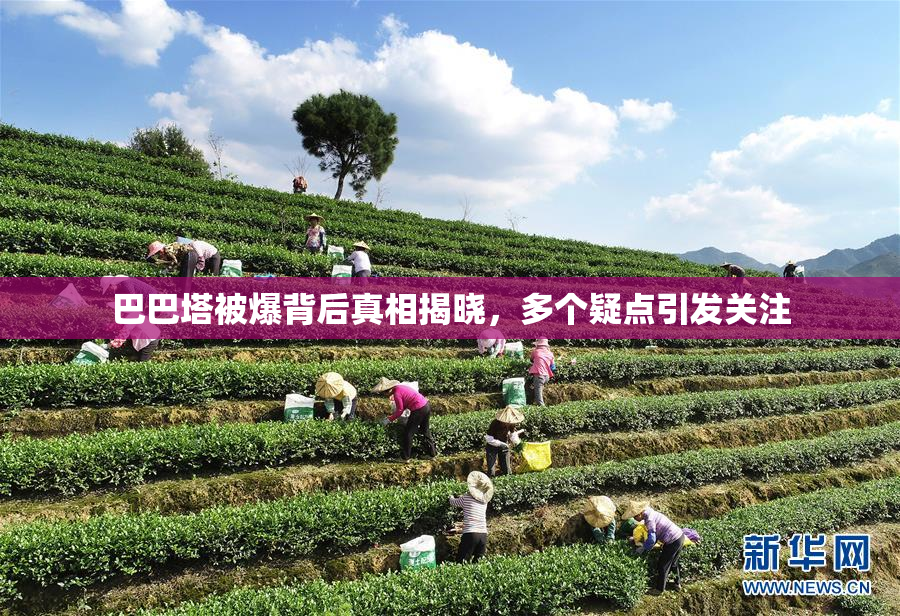 巴巴塔被爆背后真相揭晓，多个疑点引发关注