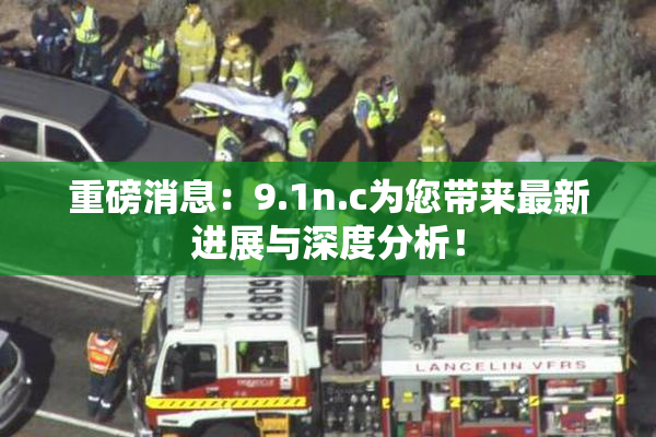 重磅消息：9.1n.c为您带来最新进展与深度分析！