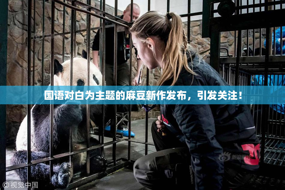 国语对白为主题的麻豆新作发布，引发关注！