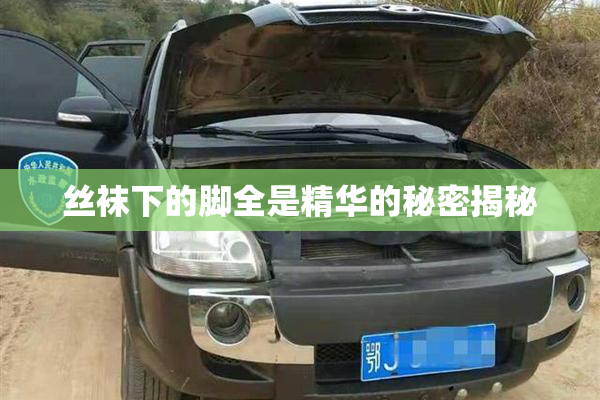 丝袜下的脚全是精华的秘密揭秘