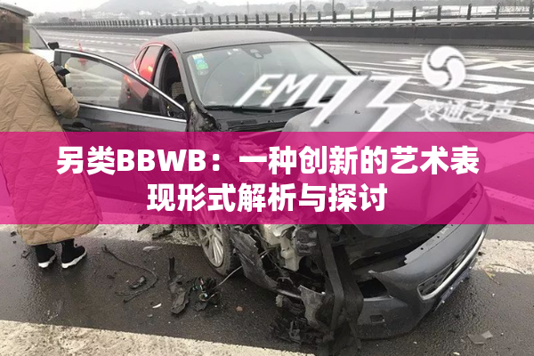 另类BBWB：一种创新的艺术表现形式解析与探讨