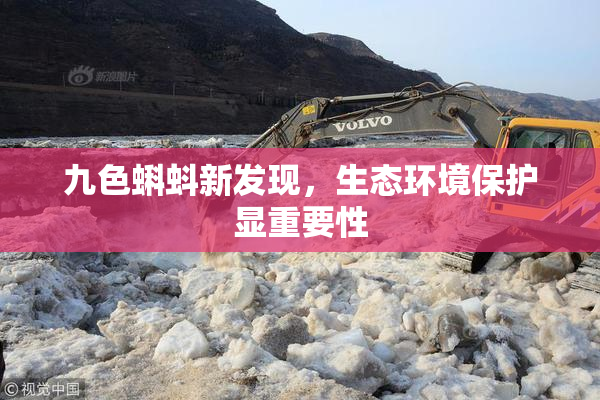 九色蝌蚪新发现，生态环境保护显重要性