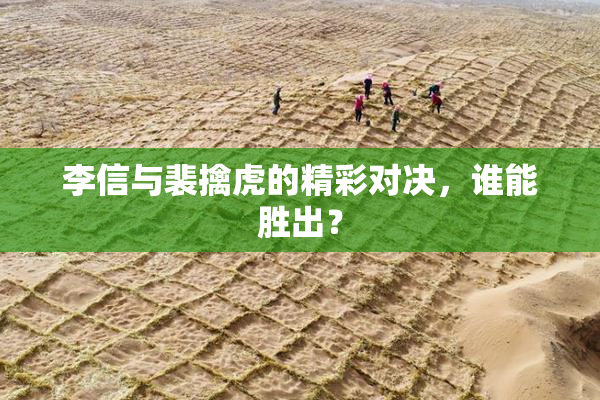 李信与裴擒虎的精彩对决，谁能胜出？