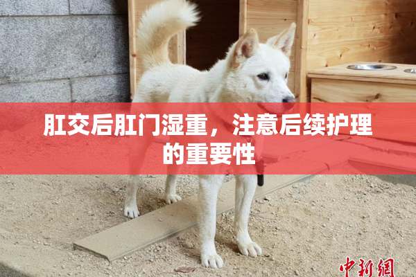 肛交后肛门湿重，注意后续护理的重要性