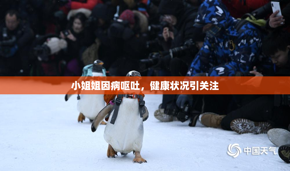 小姐姐因病呕吐，健康状况引关注