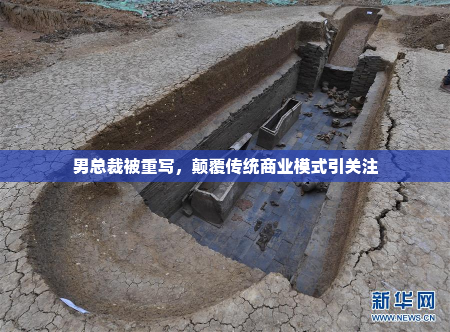 男总裁被重写，颠覆传统商业模式引关注