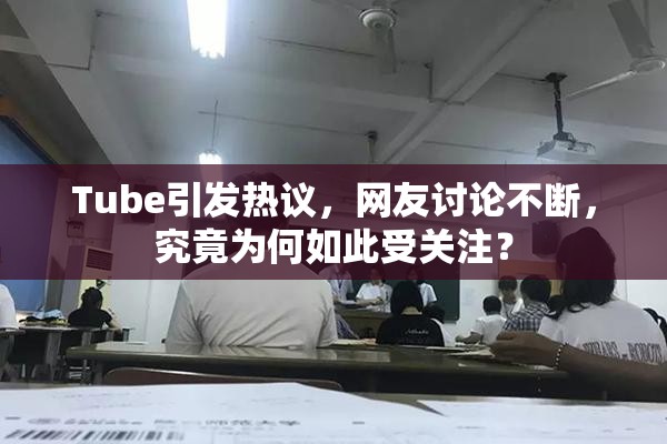 Tube引发热议，网友讨论不断，究竟为何如此受关注？