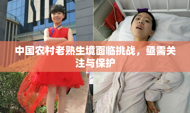 中国农村老熟生境面临挑战，亟需关注与保护