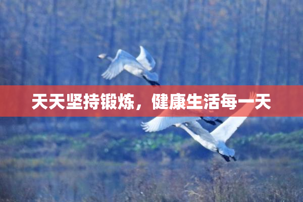 天天坚持锻炼，健康生活每一天