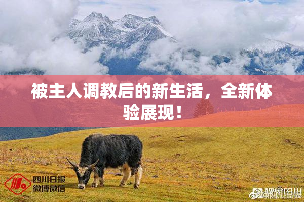 被主人调教后的新生活，全新体验展现！