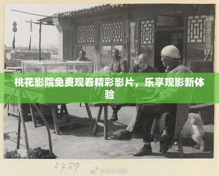 桃花影院免费观看精彩影片，乐享观影新体验