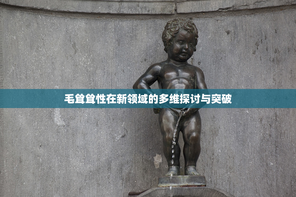 毛耸耸性在新领域的多维探讨与突破